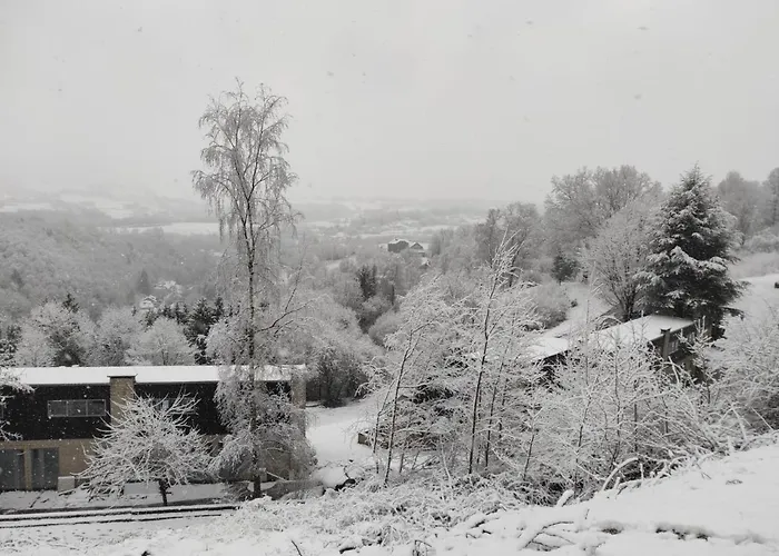 Les Terrasses De Malmedy Studio 333 Yellow Grey